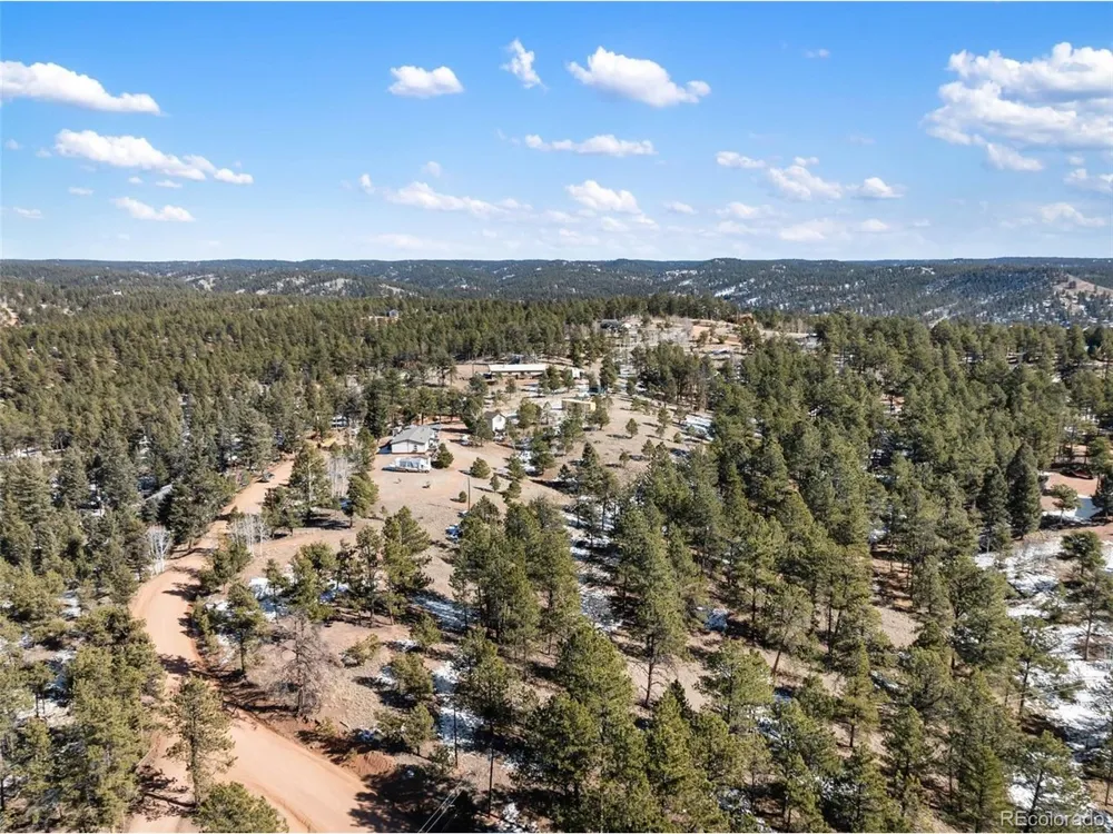 530 Columbine Road Florissant, CO 80816