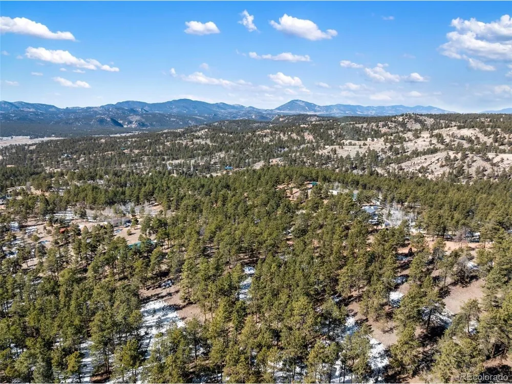 530 Columbine Road Florissant, CO 80816
