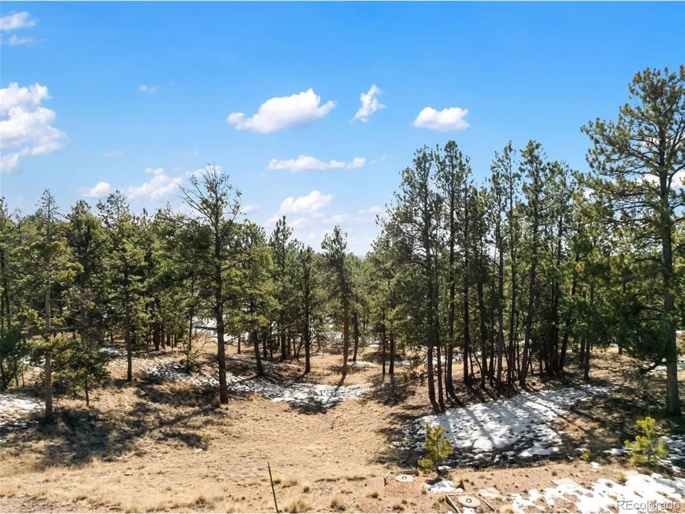 530 Columbine Road Florissant, CO 80816