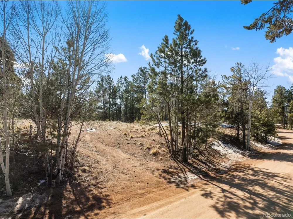 530 Columbine Road Florissant, CO 80816