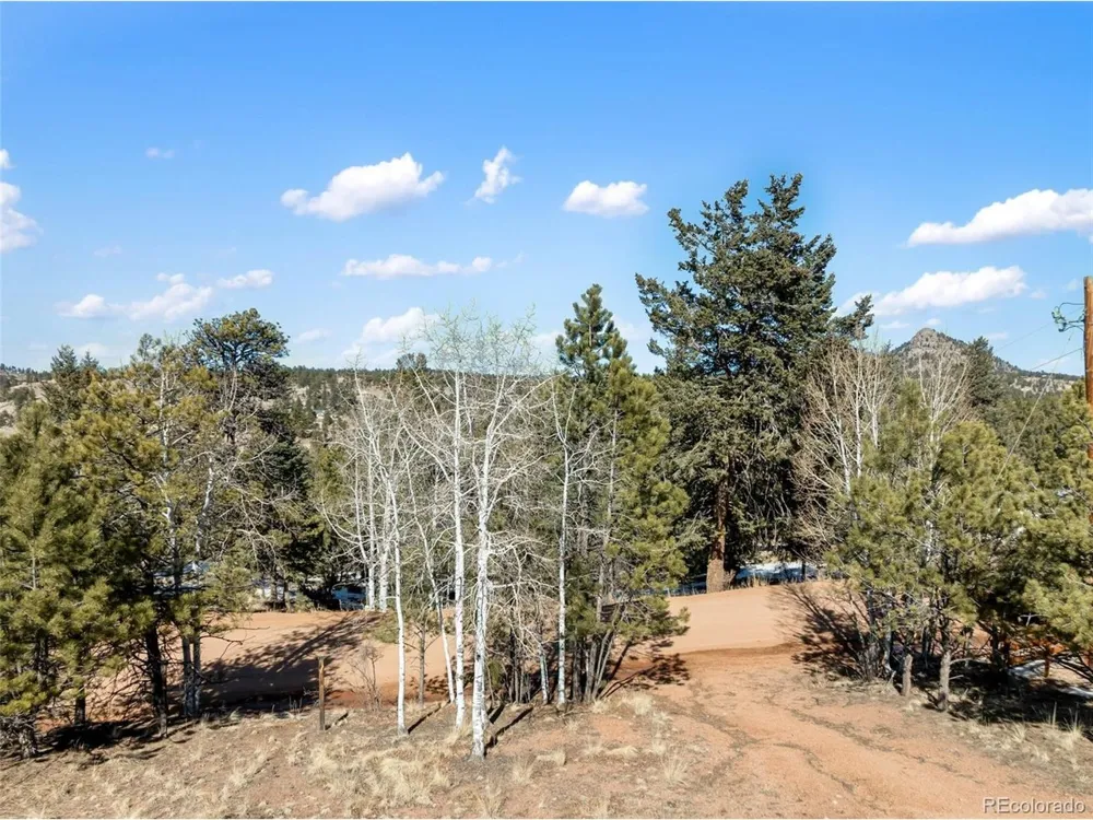 530 Columbine Road Florissant, CO 80816