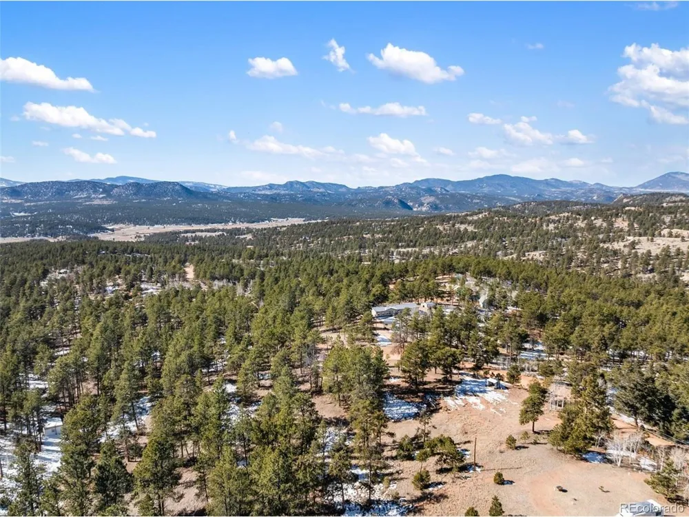 530 Columbine Road Florissant, CO 80816