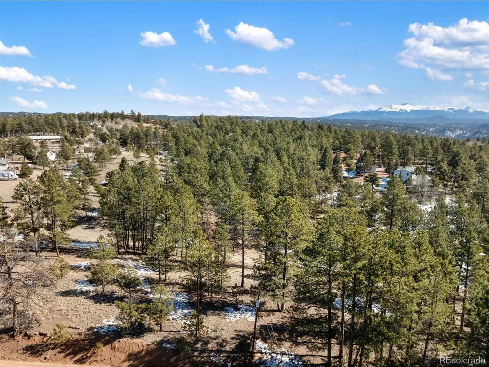 530 Columbine Road Florissant, CO 80816