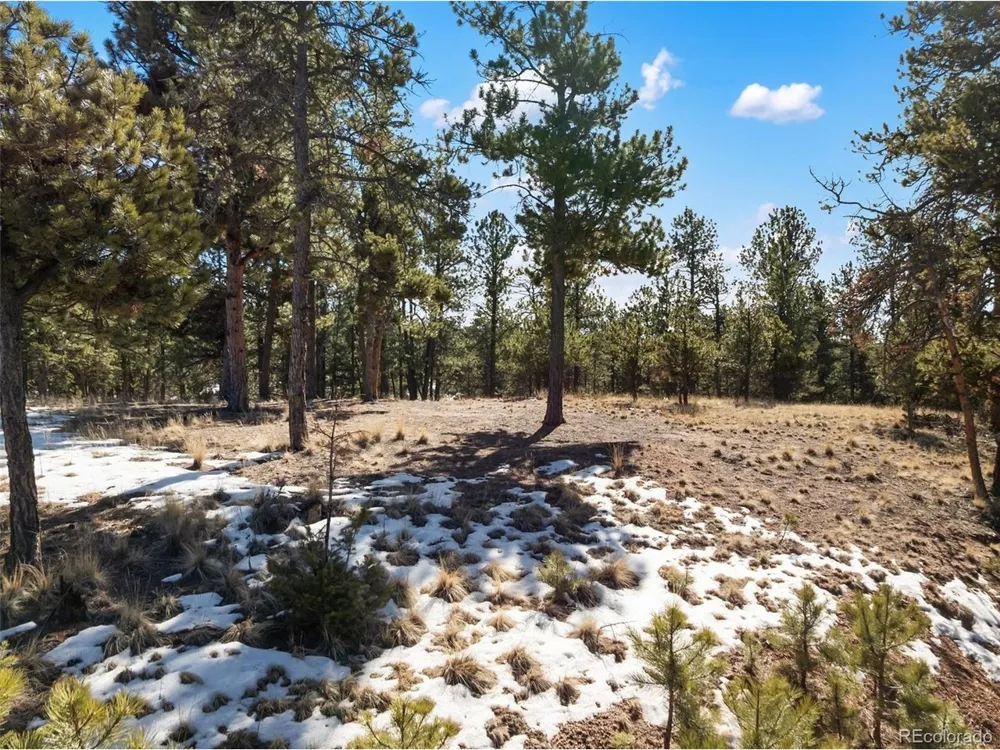 530 Columbine Road Florissant, CO 80816