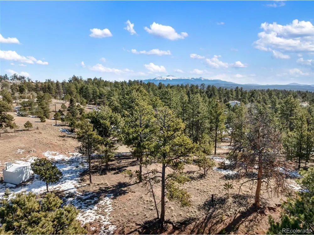 530 Columbine Road Florissant, CO 80816