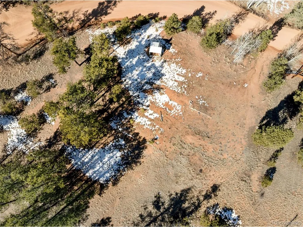 530 Columbine Road Florissant, CO 80816