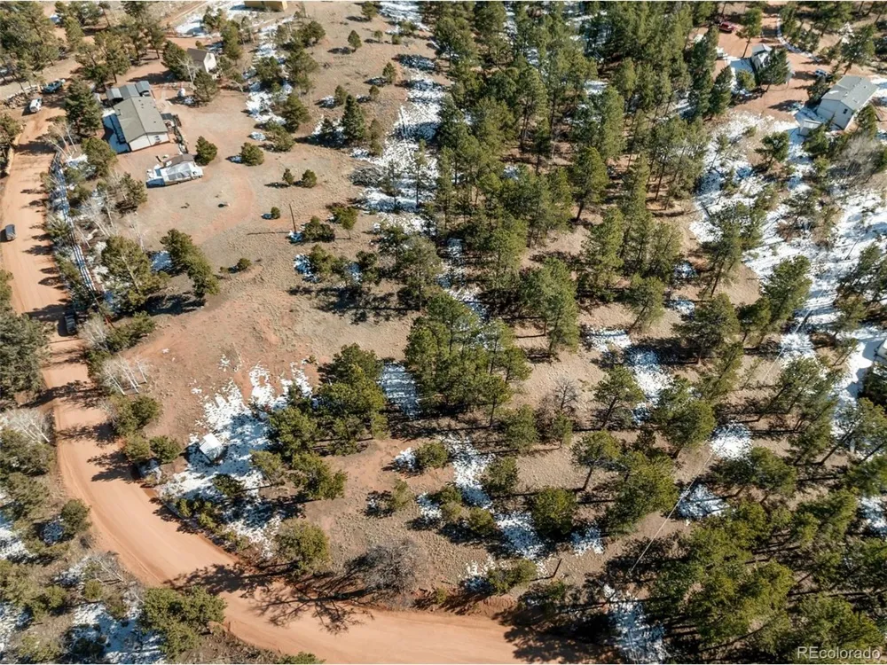 530 Columbine Road Florissant, CO 80816