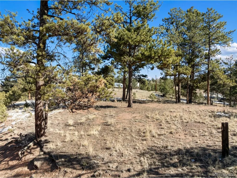530 Columbine Road Florissant, CO 80816