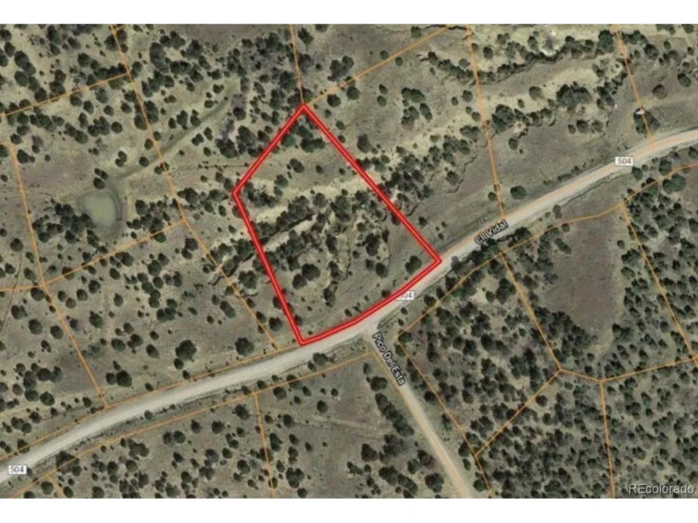 533 Rio Cucharas Walsenburg, CO 81089