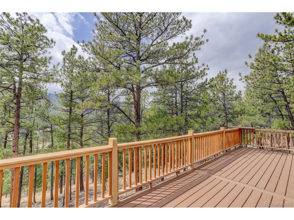 307 Virginia Road Bailey, CO 80421