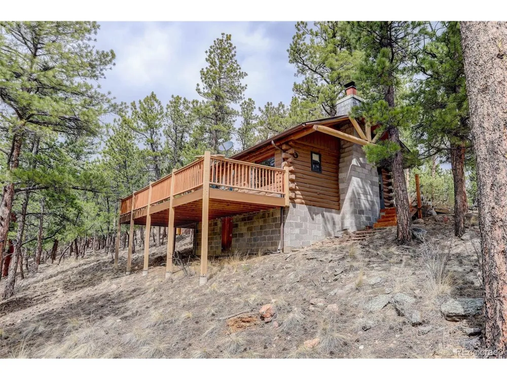 307 Virginia Road Bailey, CO 80421