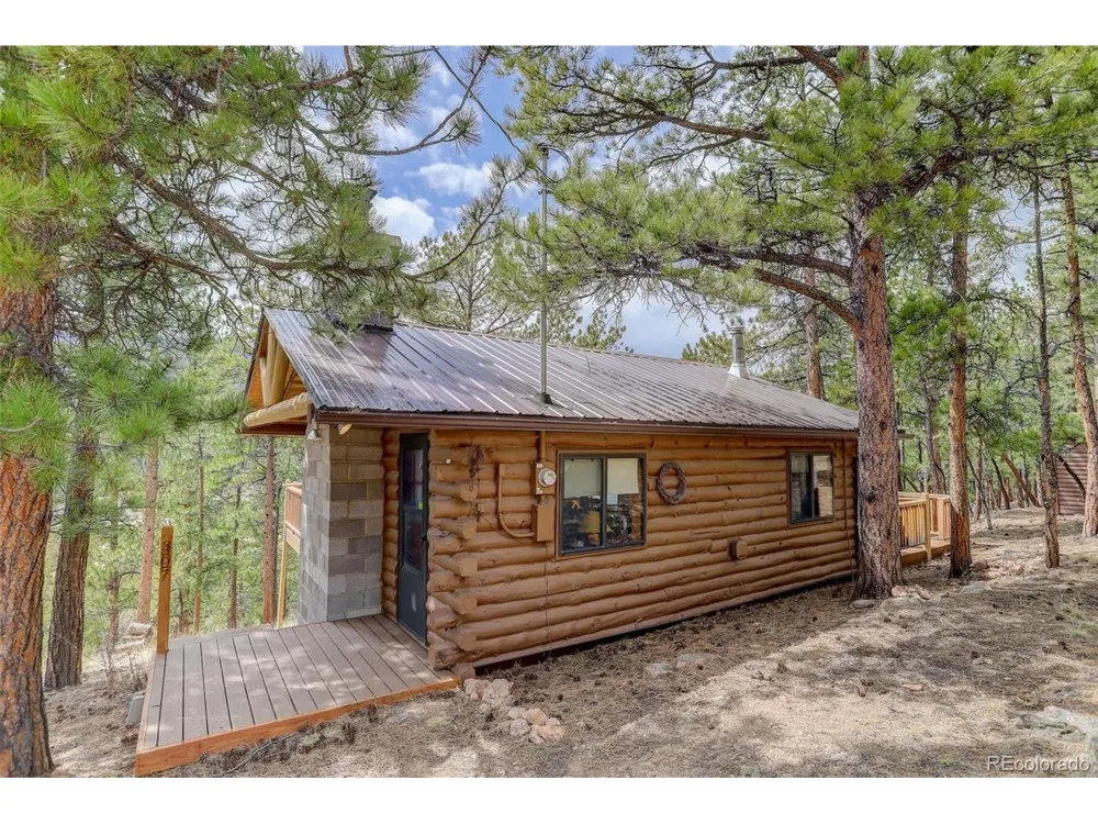 307 Virginia Road Bailey, CO 80421