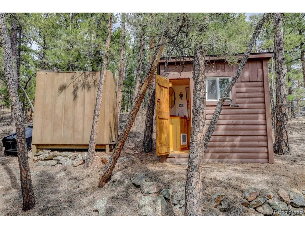307 Virginia Road Bailey, CO 80421
