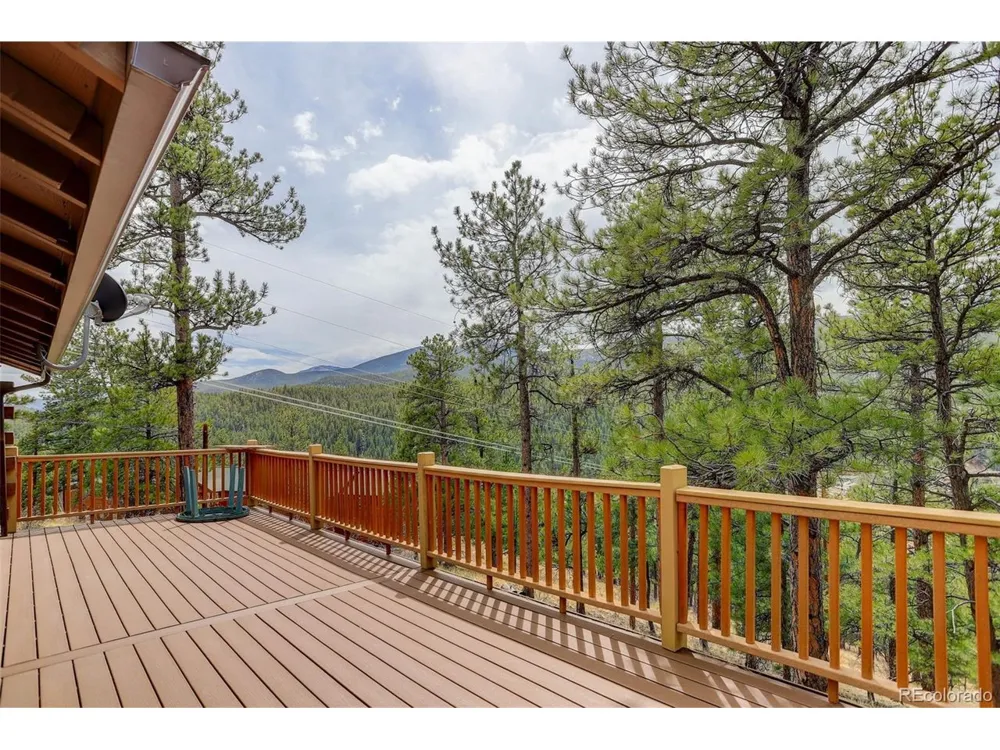 307 Virginia Road Bailey, CO 80421