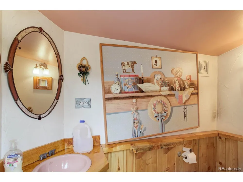 307 Virginia Road Bailey, CO 80421