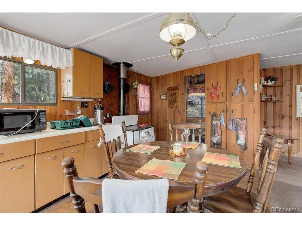 307 Virginia Road Bailey, CO 80421