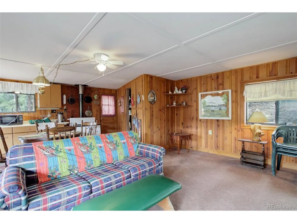 307 Virginia Road Bailey, CO 80421