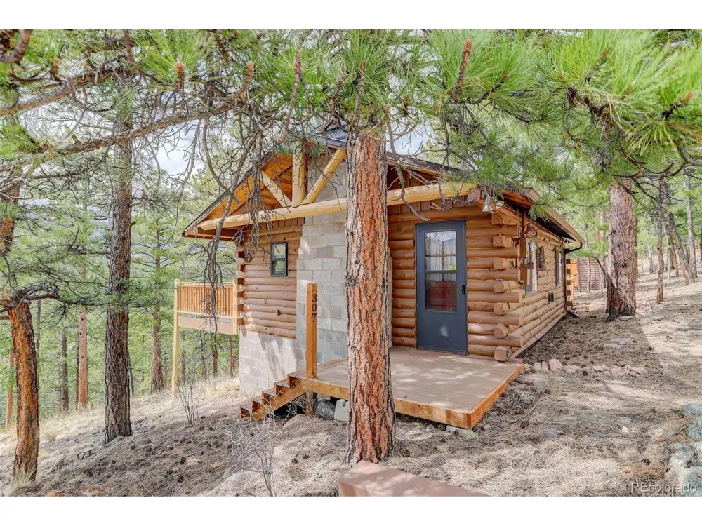 307 Virginia Road Bailey, CO 80421