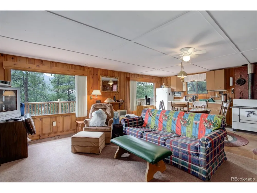 307 Virginia Road Bailey, CO 80421