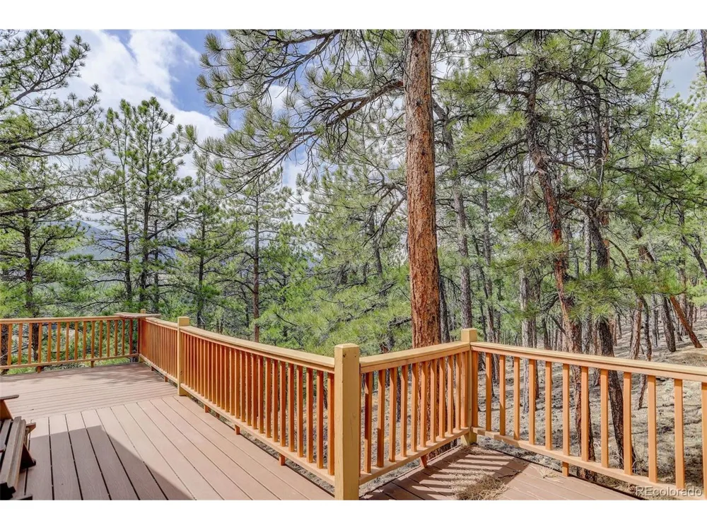 307 Virginia Road Bailey, CO 80421