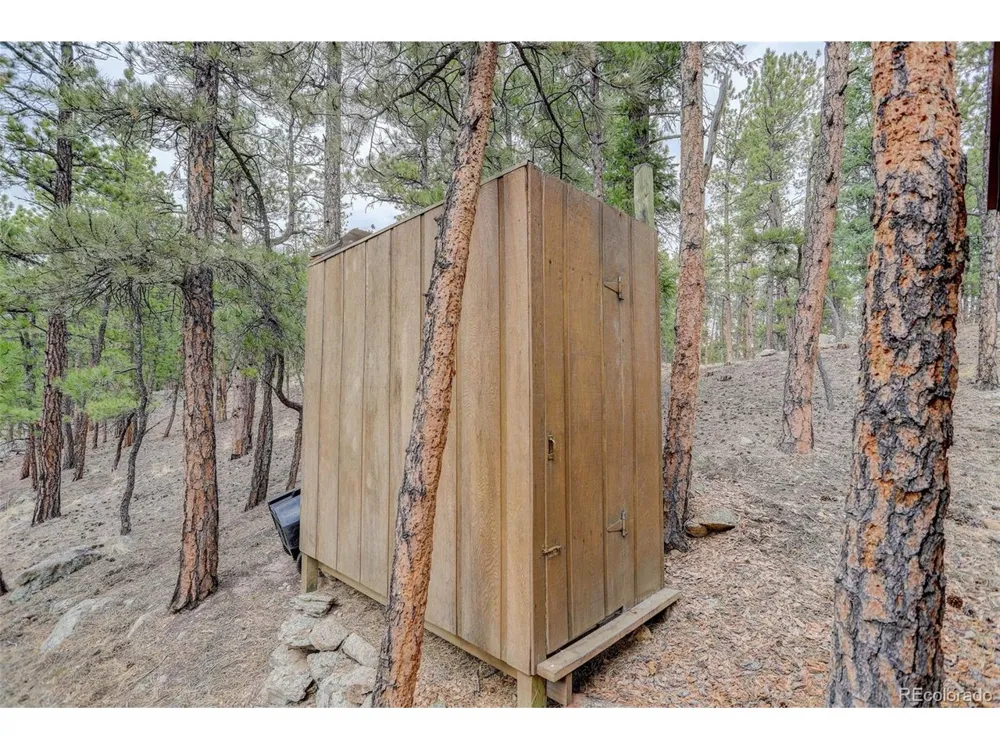 307 Virginia Road Bailey, CO 80421