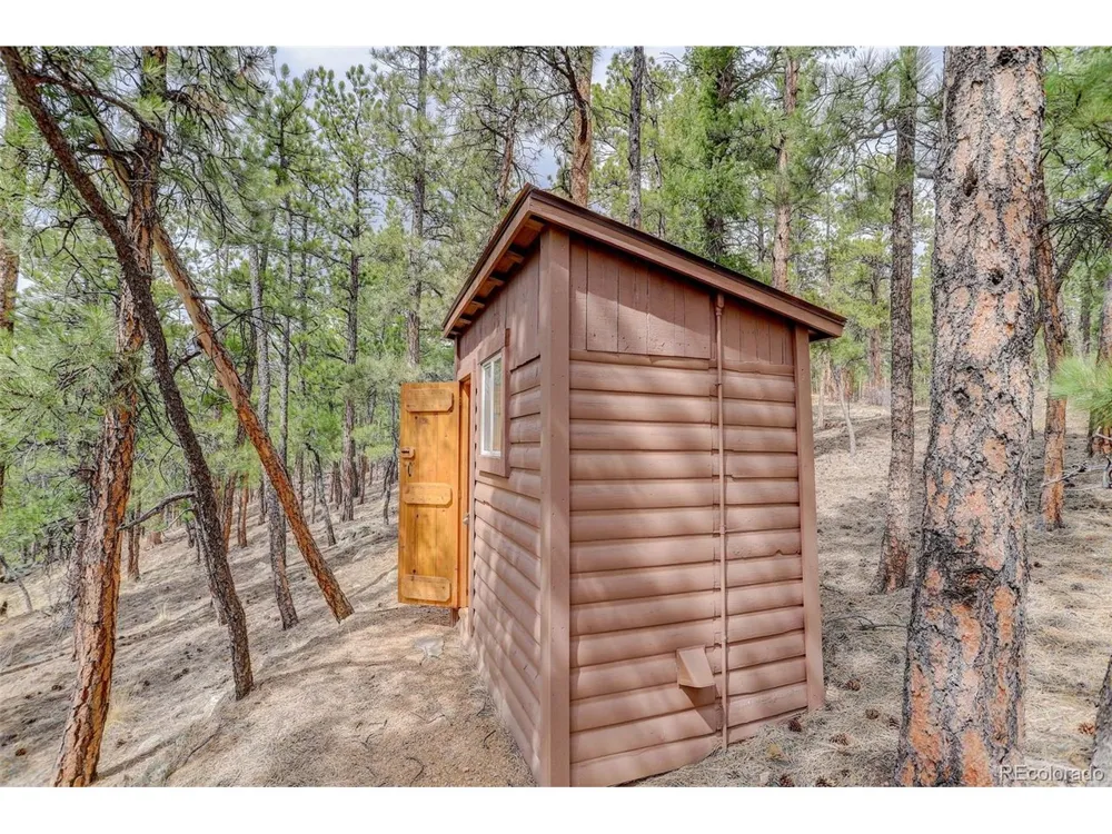 307 Virginia Road Bailey, CO 80421