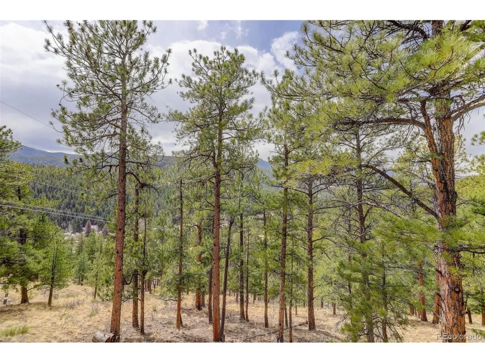 307 Virginia Road Bailey, CO 80421