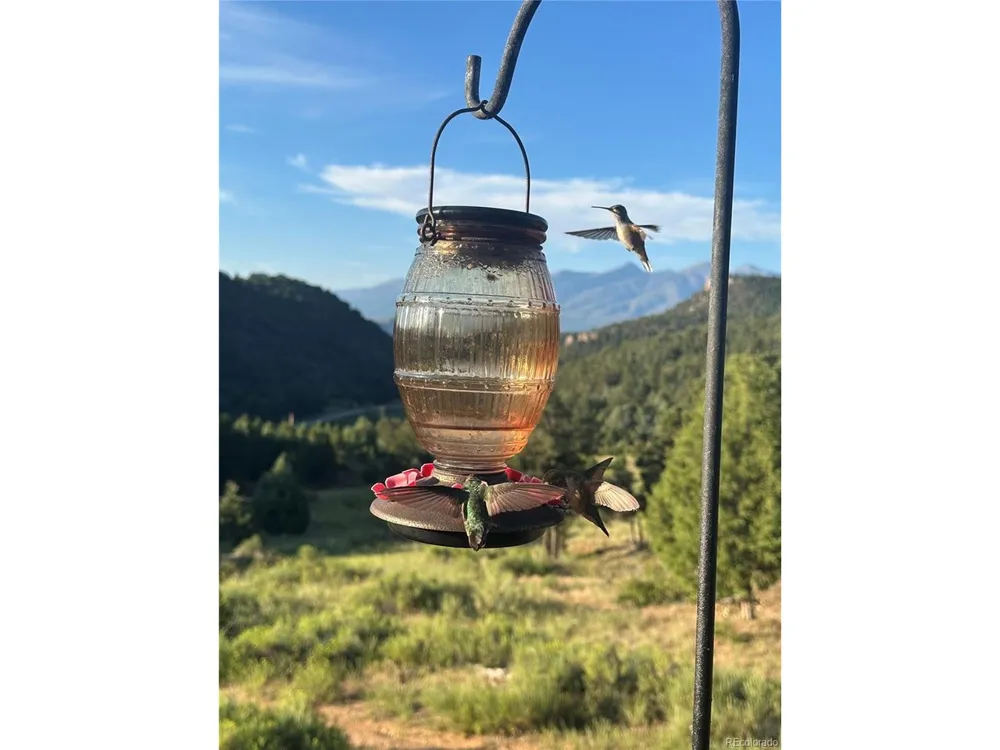 4351 County Road 12 Cotopaxi, CO 81223