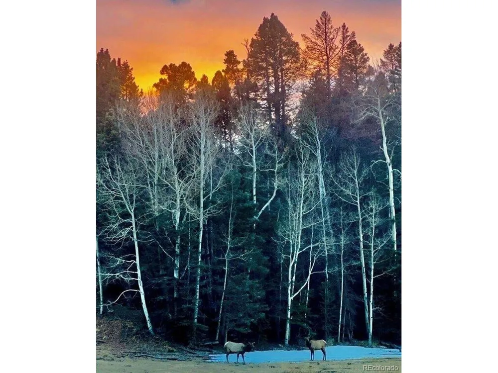 16679 Highway 96 Wetmore, CO 81253