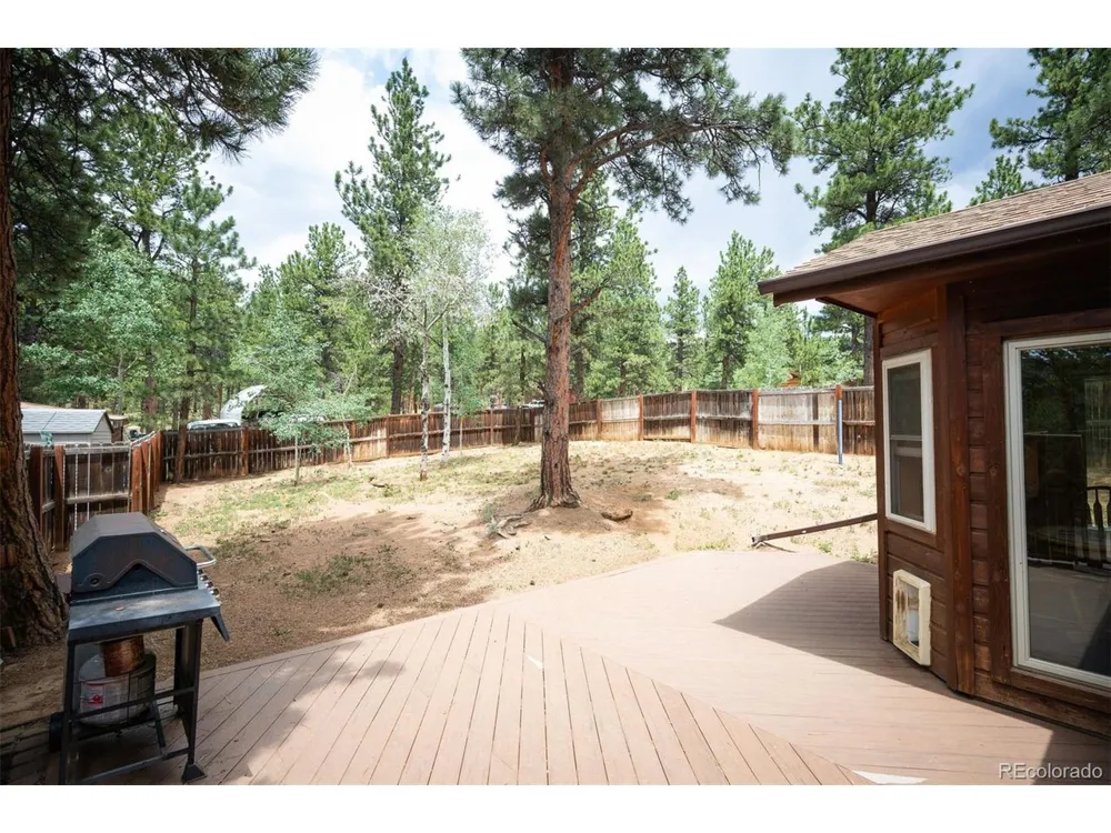 21 Crystal Rock Road Bailey, CO 80421