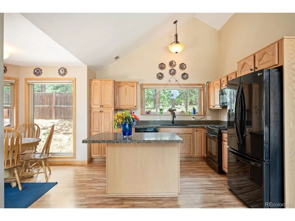 21 Crystal Rock Road Bailey, CO 80421