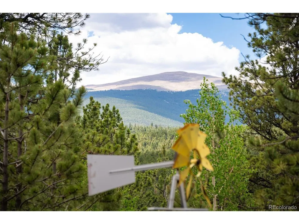 21 Crystal Rock Road Bailey, CO 80421