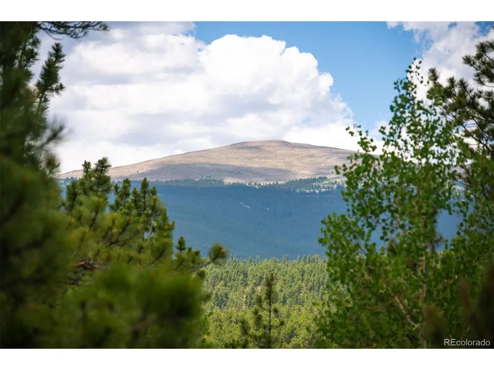 21 Crystal Rock Road Bailey, CO 80421
