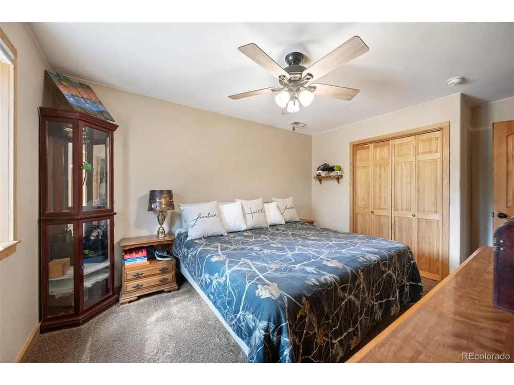 21 Crystal Rock Road Bailey, CO 80421