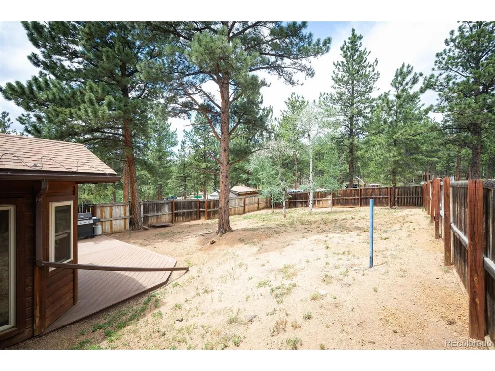 21 Crystal Rock Road Bailey, CO 80421