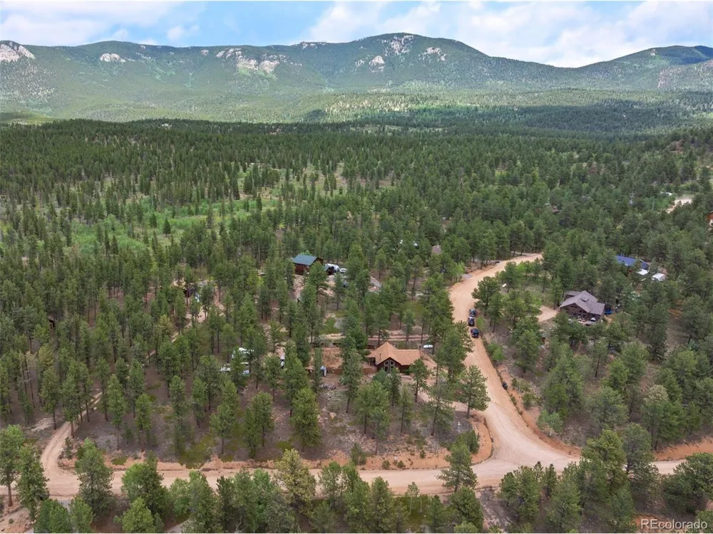 21 Crystal Rock Road Bailey, CO 80421