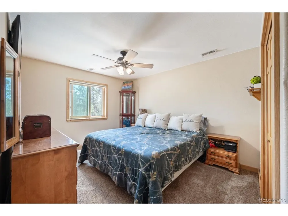 21 Crystal Rock Road Bailey, CO 80421