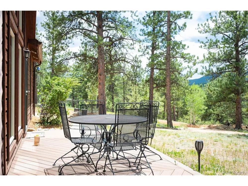 21 Crystal Rock Road Bailey, CO 80421