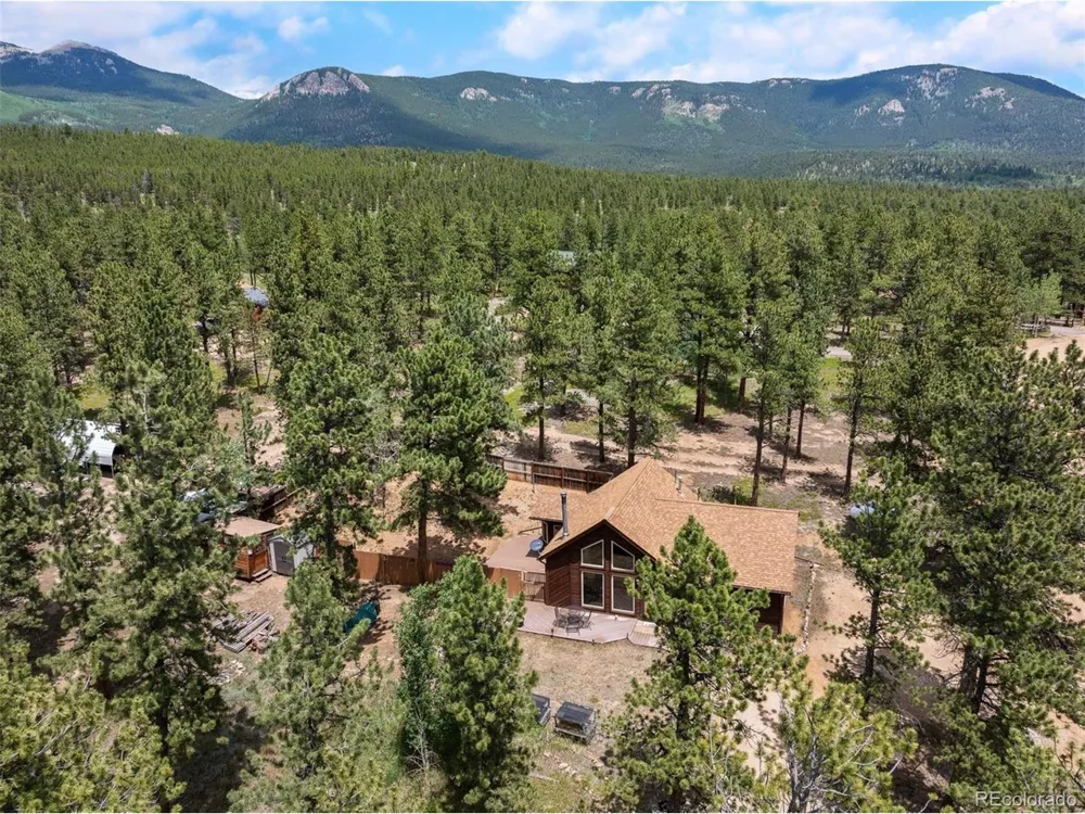 21 Crystal Rock Road Bailey, CO 80421