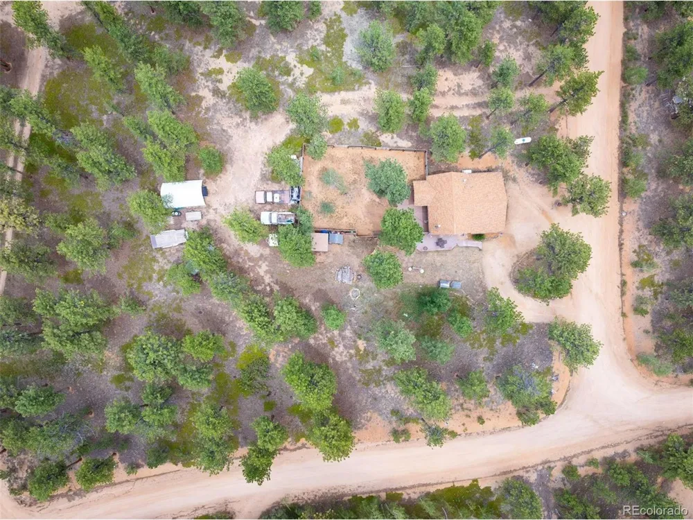 21 Crystal Rock Road Bailey, CO 80421