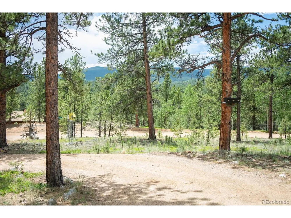 21 Crystal Rock Road Bailey, CO 80421