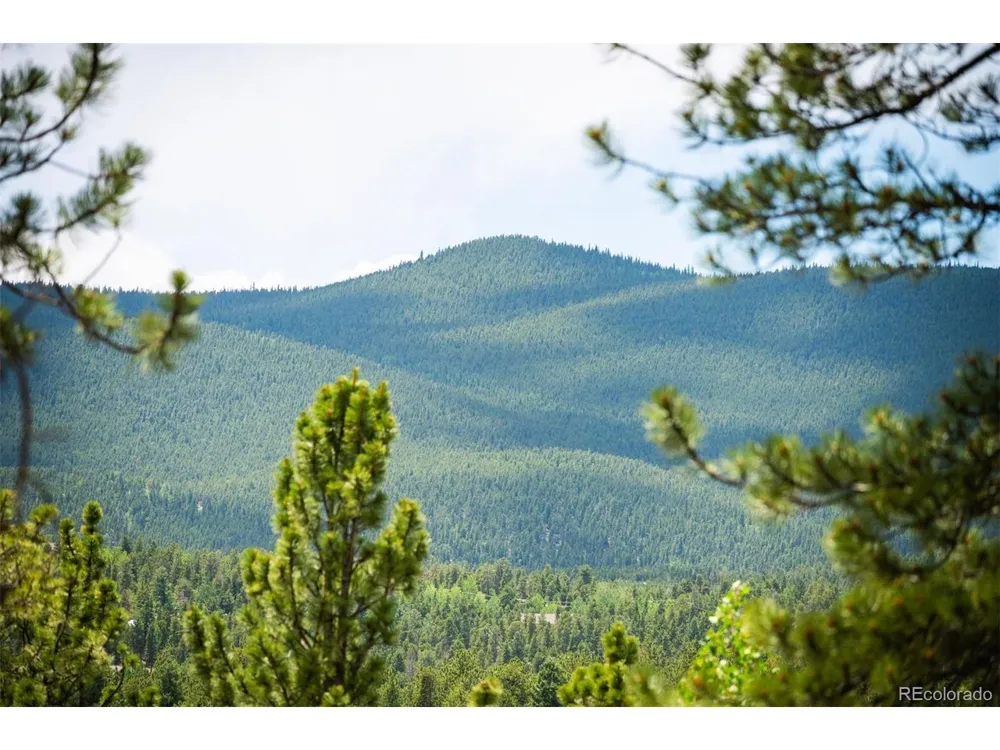 21 Crystal Rock Road Bailey, CO 80421
