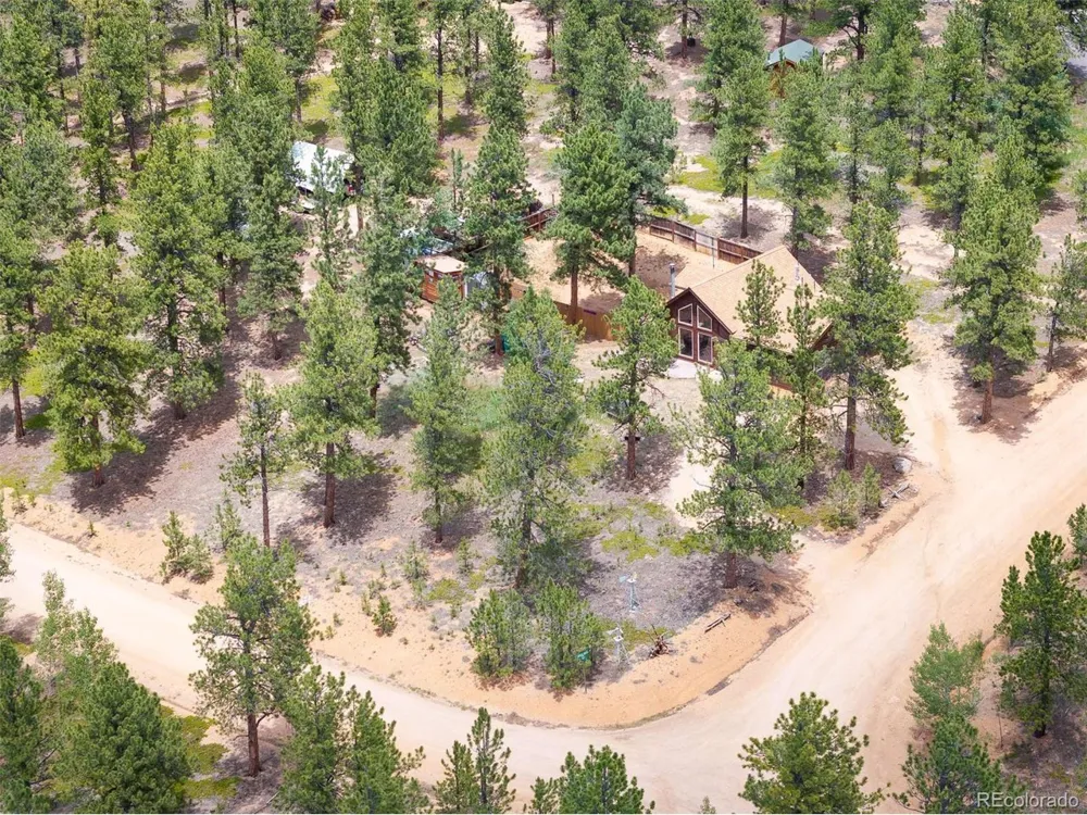 21 Crystal Rock Road Bailey, CO 80421