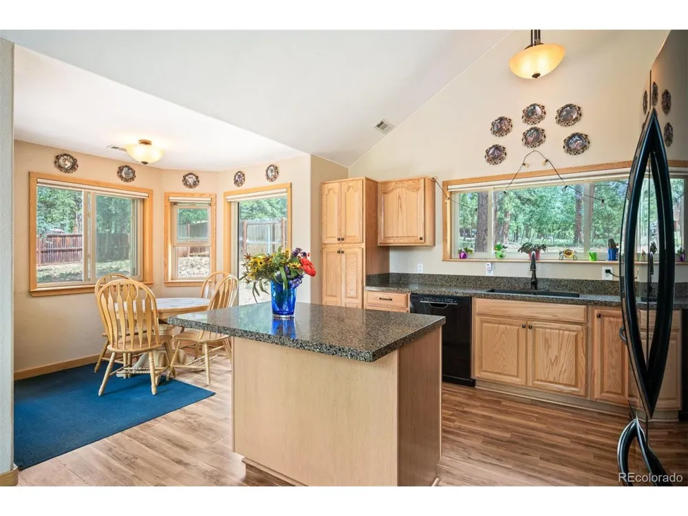 21 Crystal Rock Road Bailey, CO 80421