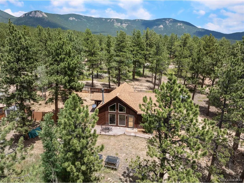 21 Crystal Rock Road Bailey, CO 80421