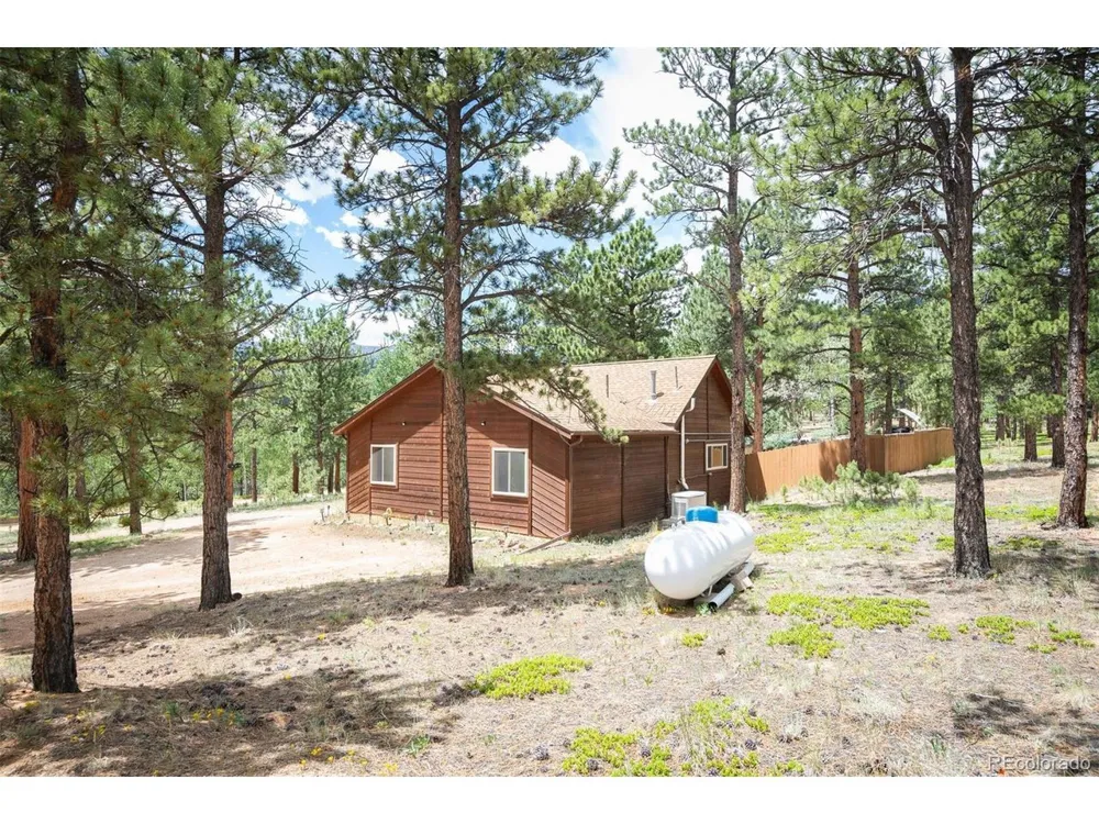21 Crystal Rock Road Bailey, CO 80421