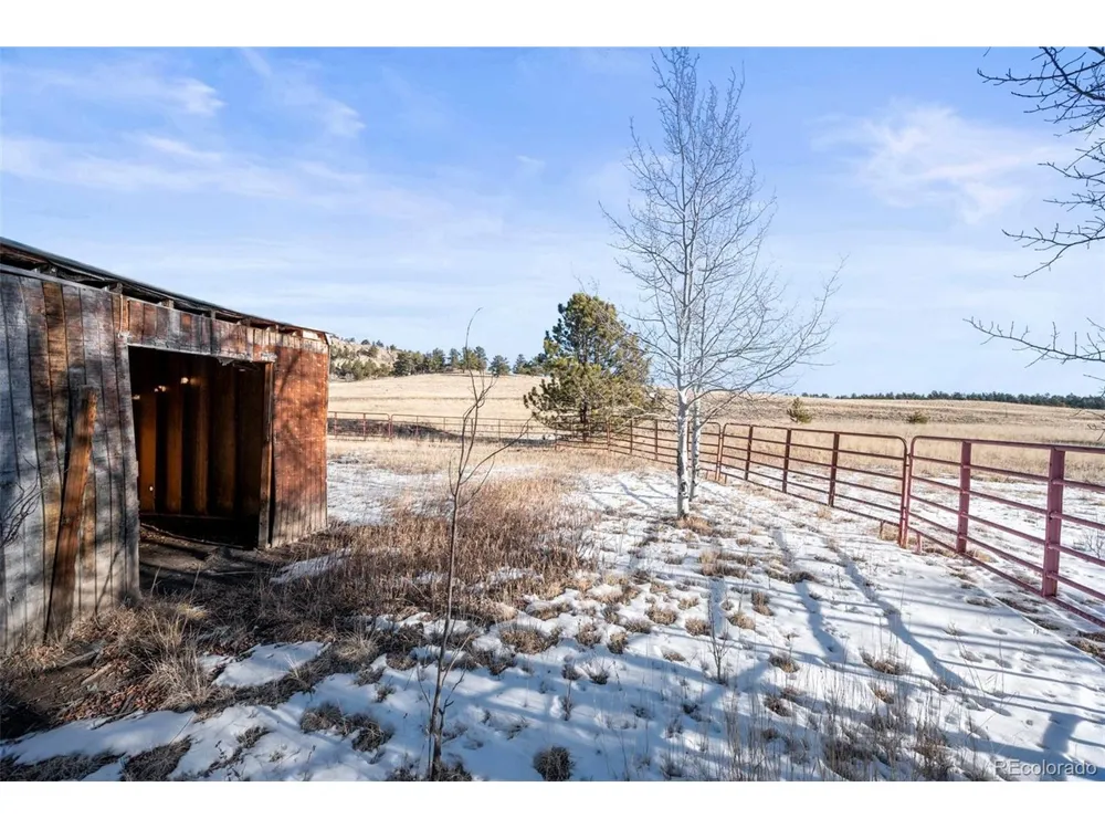 546 Alpine Meadows Lane Florissant, CO 80816