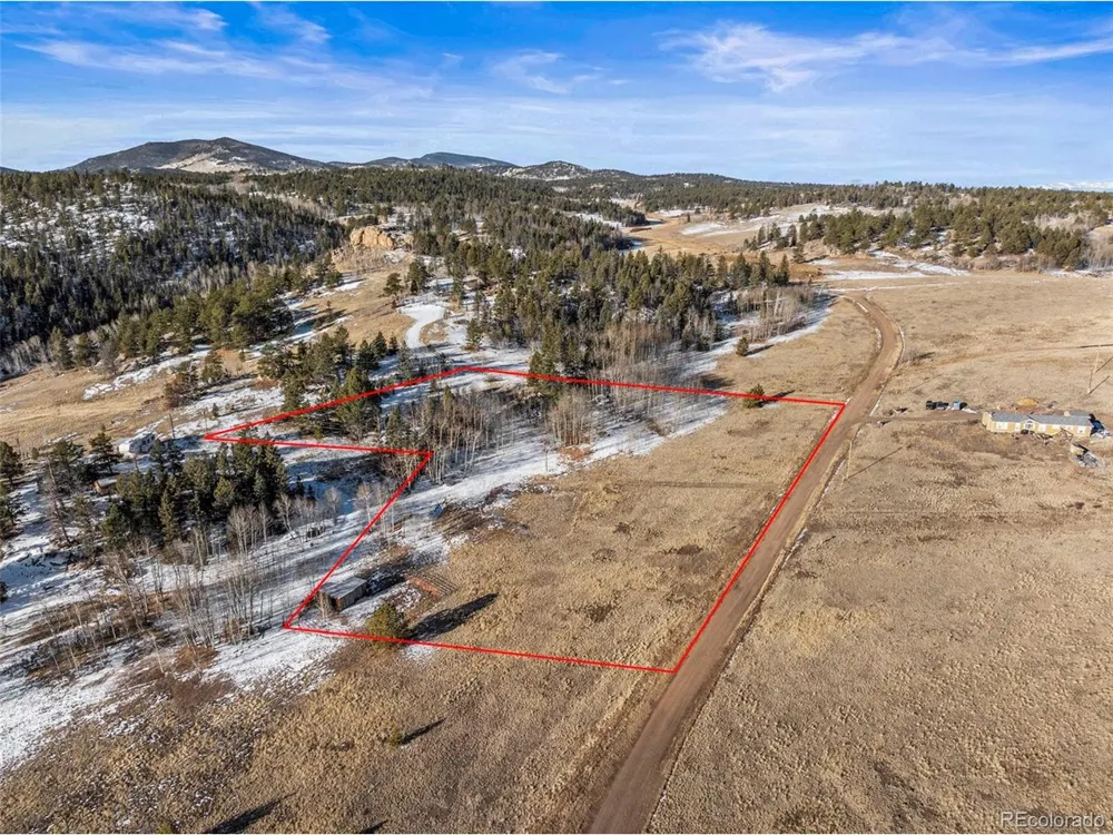 546 Alpine Meadows Lane Florissant, CO 80816