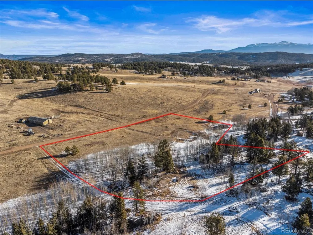546 Alpine Meadows Lane Florissant, CO 80816