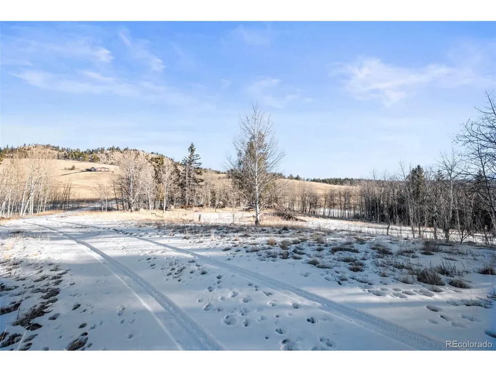 546 Alpine Meadows Lane Florissant, CO 80816